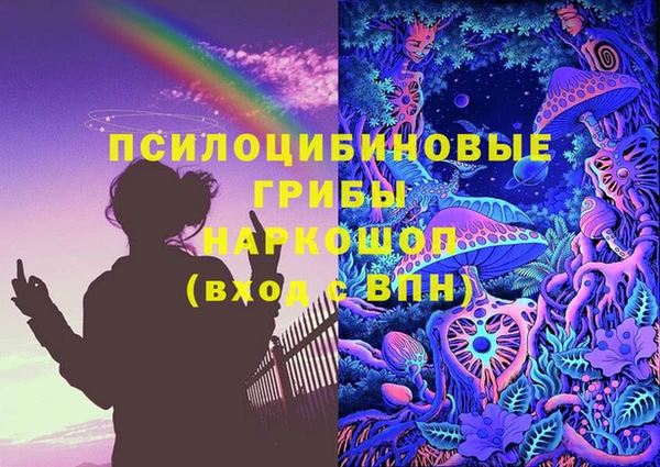 винт Лагань