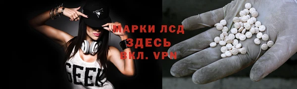 ПСИЛОЦИБИНОВЫЕ ГРИБЫ Ладушкин