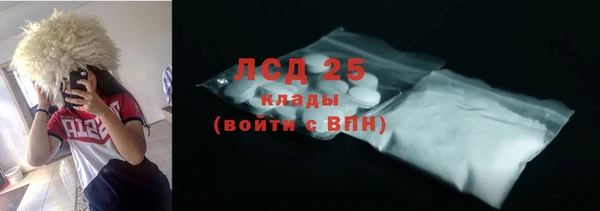 винт Лагань