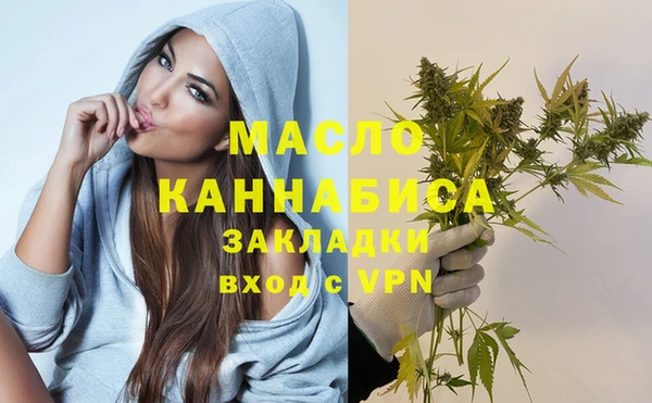 винт Лагань