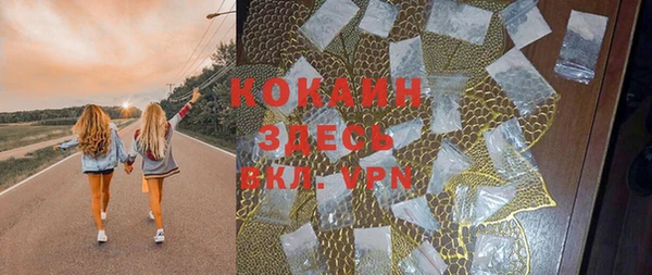 ПСИЛОЦИБИНОВЫЕ ГРИБЫ Ладушкин