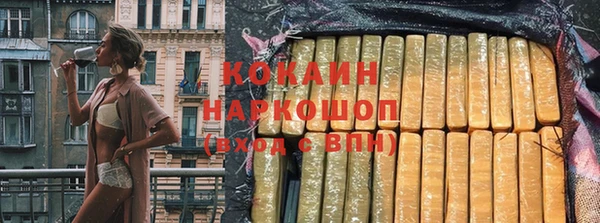 винт Лагань