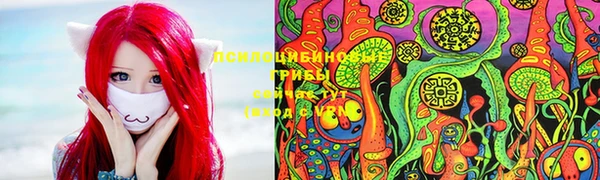 mdpv Лабытнанги
