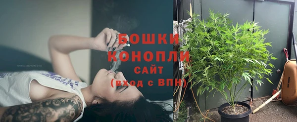 винт Лагань