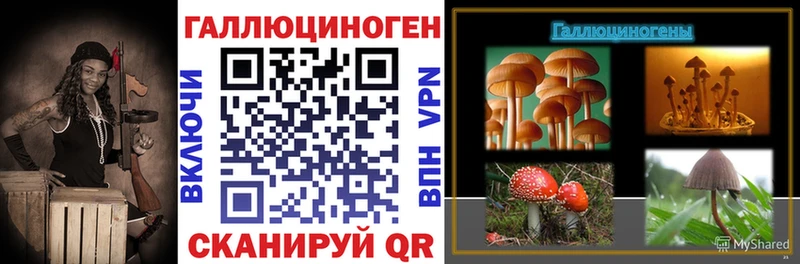 omg как войти  Цивильск  Галлюциногенные грибы Magic Shrooms 